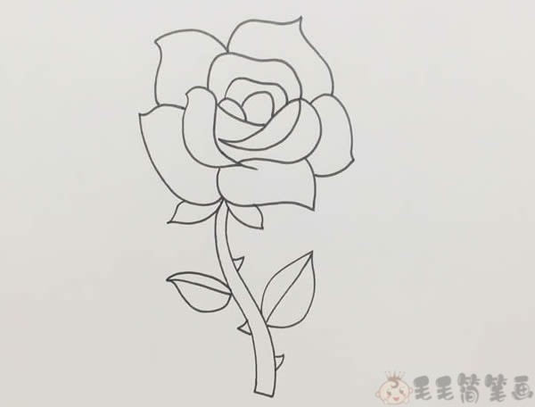 出玫瑰花的花蕾中心的两片花瓣,再来画出它外围的三片花瓣的线条轮廓