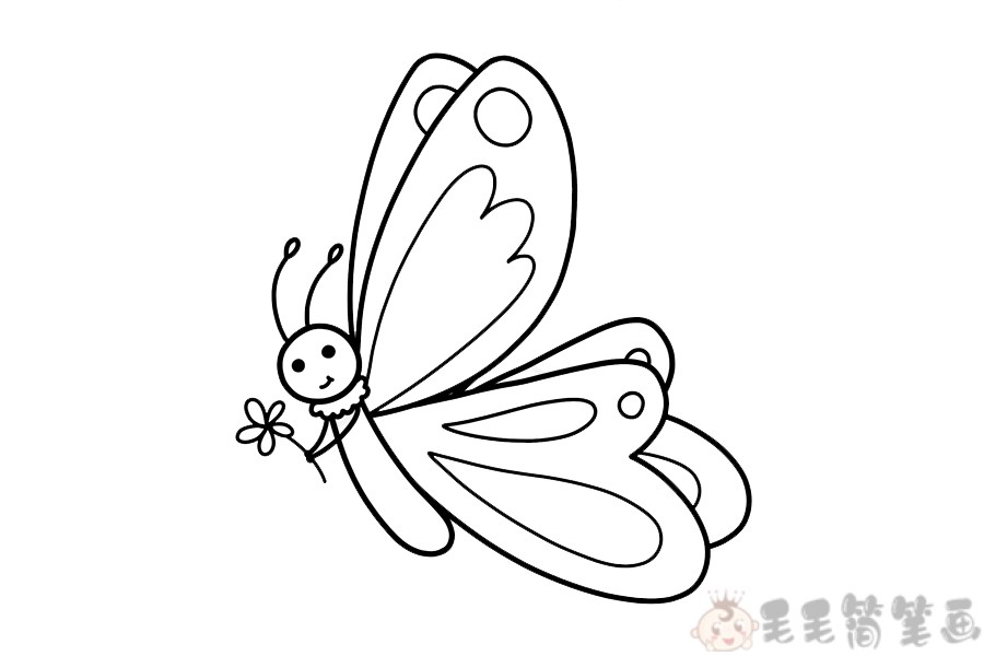漂亮的蝴蝶儿童画绘画教程 - 毛毛简笔画