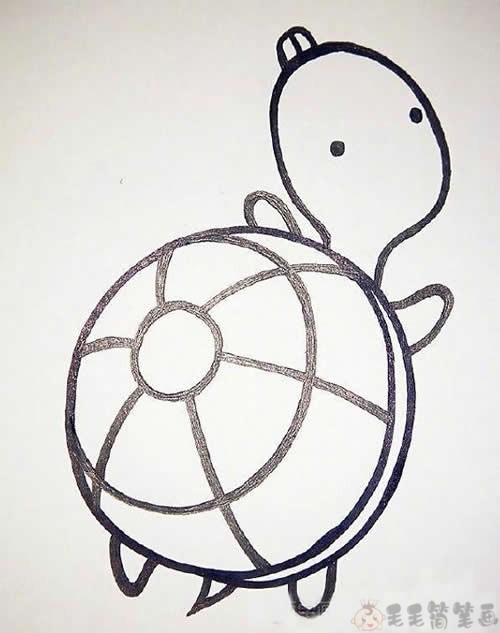 乌龟的简单画法,乌龟绘画教程