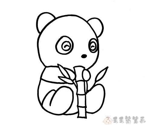 第二步:接着画小熊猫的身体,身体是坐在地上的,画出短胖的四肢,怀中抱