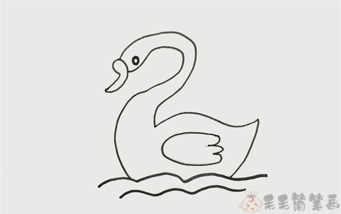 简单漂亮的天鹅儿童画画法 - 毛毛简笔画