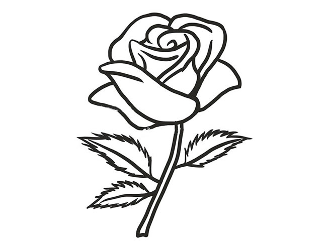 更多漂亮的红玫瑰简笔画图片_玫瑰花的简单画法步骤,可前往【植物简
