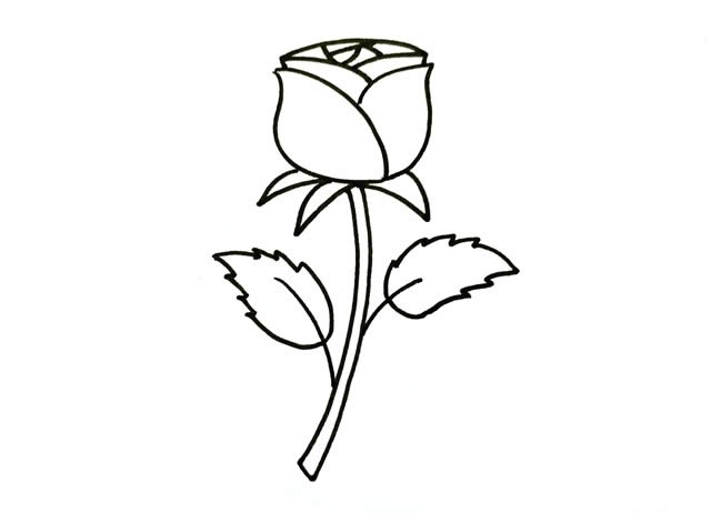 步骤五:锯齿状的叶子与枝条,为深绿色,这样,儿童画玫瑰花的画法步骤