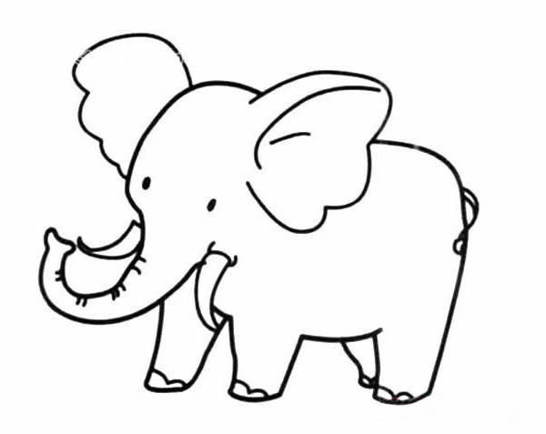 简单又好看的大象简笔画的画法步骤