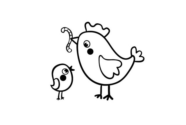 母鸡喂小鸡简笔画画法图片素材