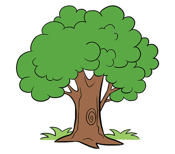 【茂盛的大树画法步骤】茂盛的大树简笔画图画大全 植物-第2张