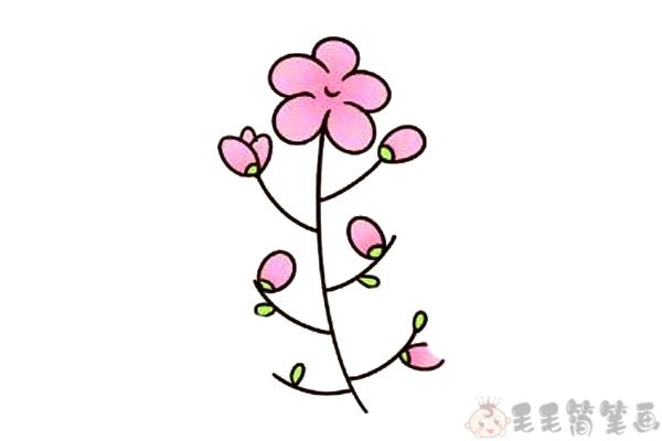 漂亮的小花朵简笔画图片4