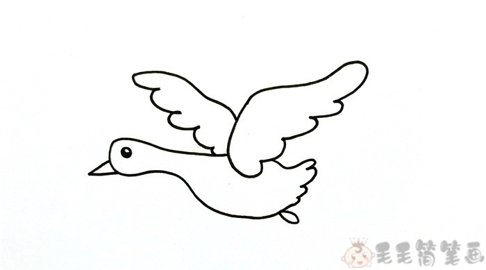 雄鹅起飞的简单画法图片
