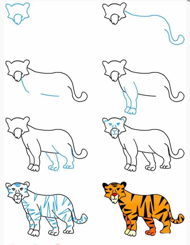 老虎画法教程 简洁图片