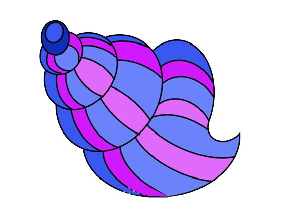 小海螺怎么画简单图片