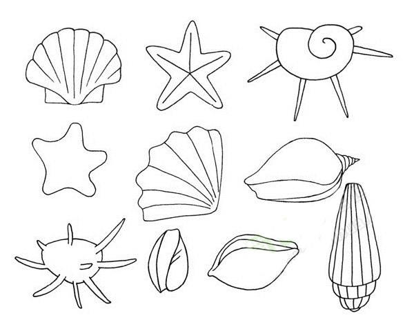 100种贝壳简笔画 简单图片