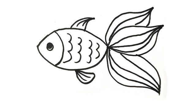 鱼类动物简笔画图片