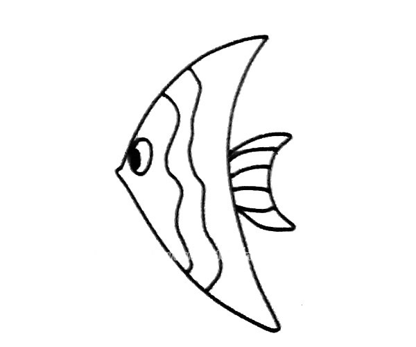 热带鱼线条画图片