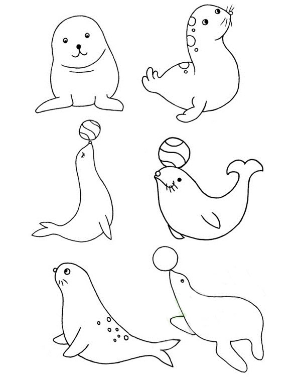 海豹怎么画海豹简笔画