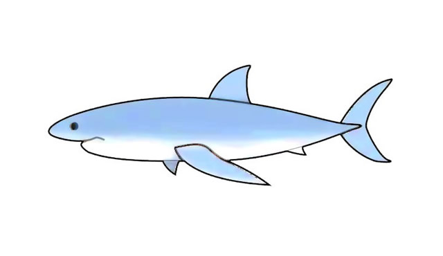 巨型大白鲨怎么画图片