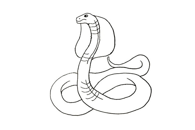 画一条眼镜蛇 简单图片