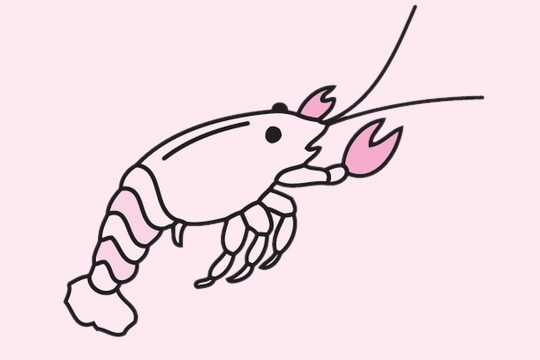 小虾的简笔画画法图片
