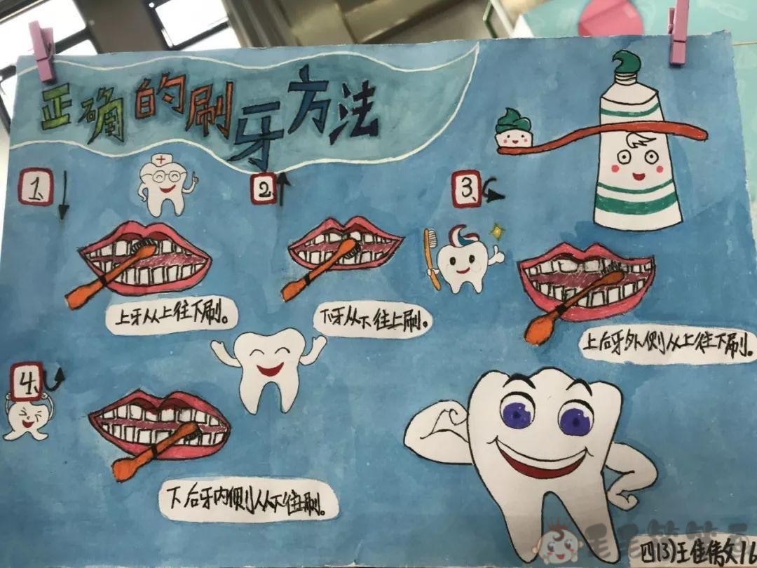 幼儿园画牙齿介绍图片图片