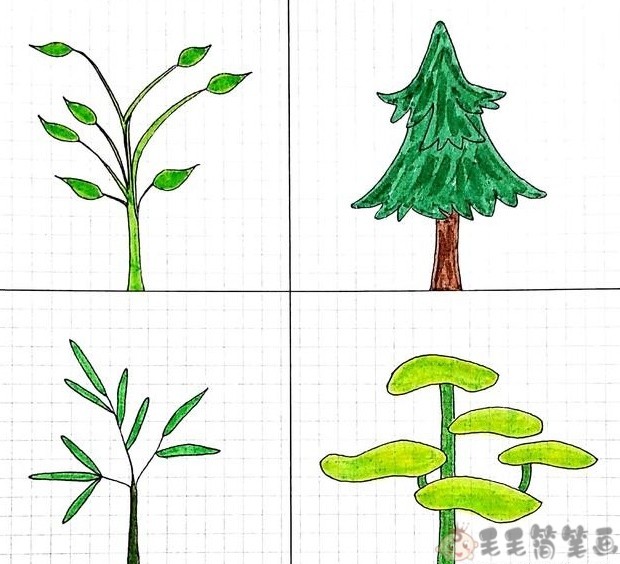 大树和树叶的简笔画