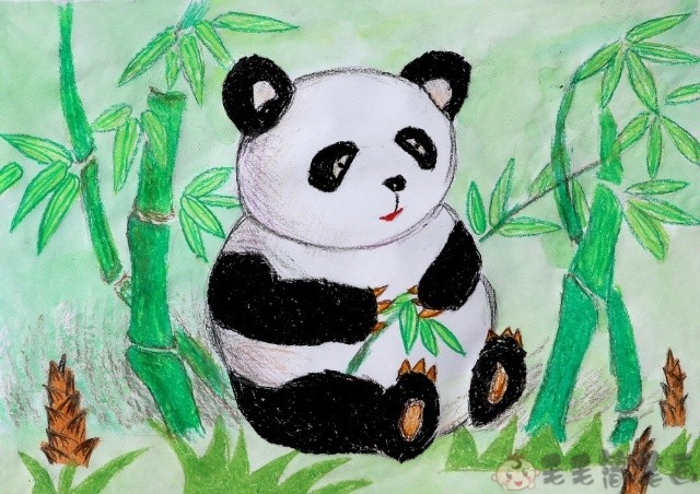 彩色简笔画熊猫图片