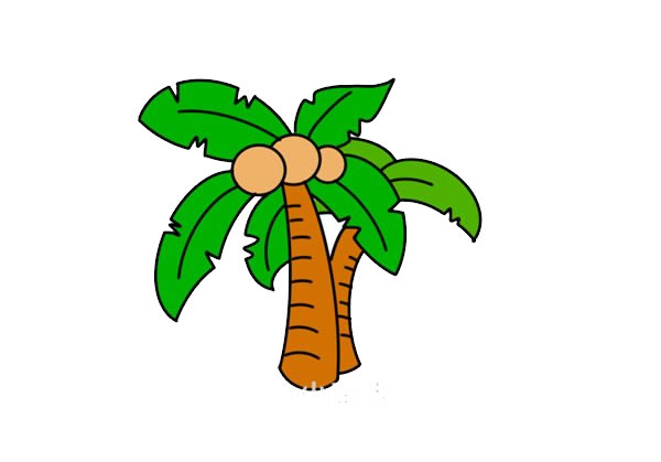椰子树图片简笔画彩色图片