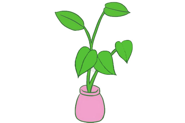 绿萝简笔画画法,绿色植物简笔画 中级简笔画教程
