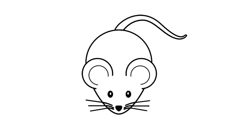 老鼠简笔画怎么画 老鼠简笔画好看 中级简笔画教程