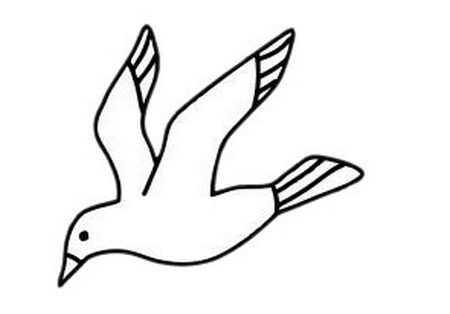 海鸥的脚简笔画图片