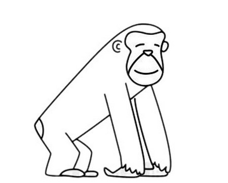 黑猩猩简笔画动物园图片