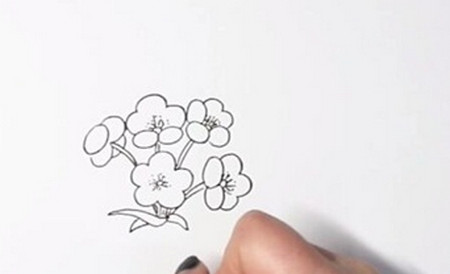 梨花简笔画画法步骤 花朵儿童画 中级简笔画教程