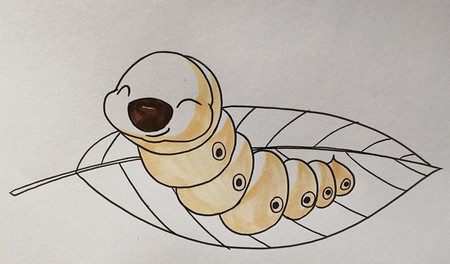 画蚕的幼虫和它的食物图片