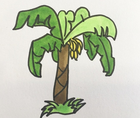 简笔香蕉树怎么画图片